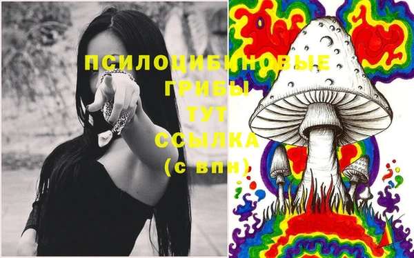 крисы Балахна