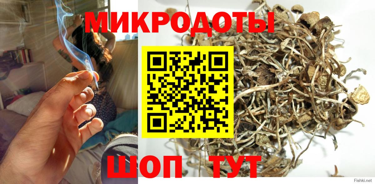 как найти   Галлюциногенные грибы Psilocybine cubensis  Вход с VPN  Кореновск 